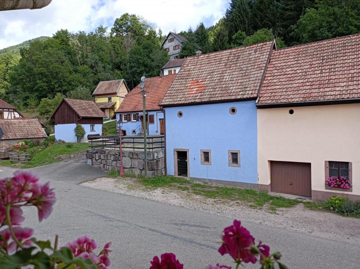 Appartement Bethanie Steige Екстериор снимка